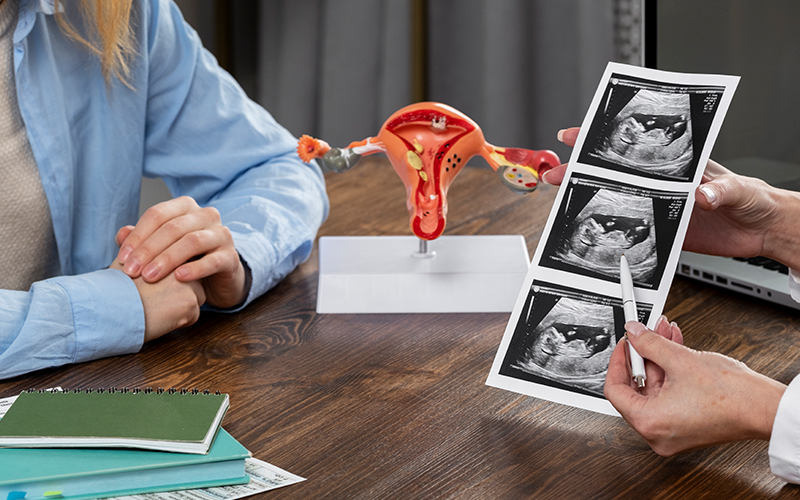 Uterus Transplant Cost In India