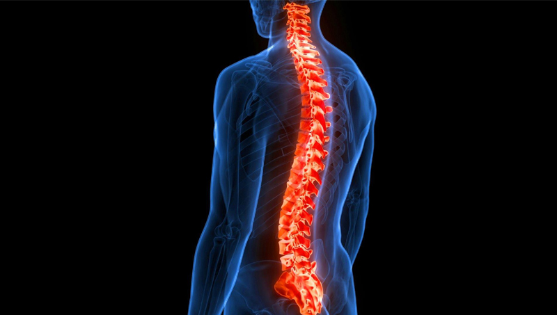 Best spine Hospitals in India 