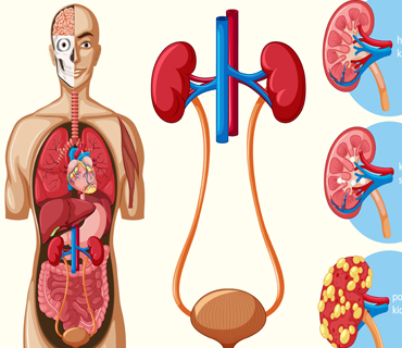 medical services company